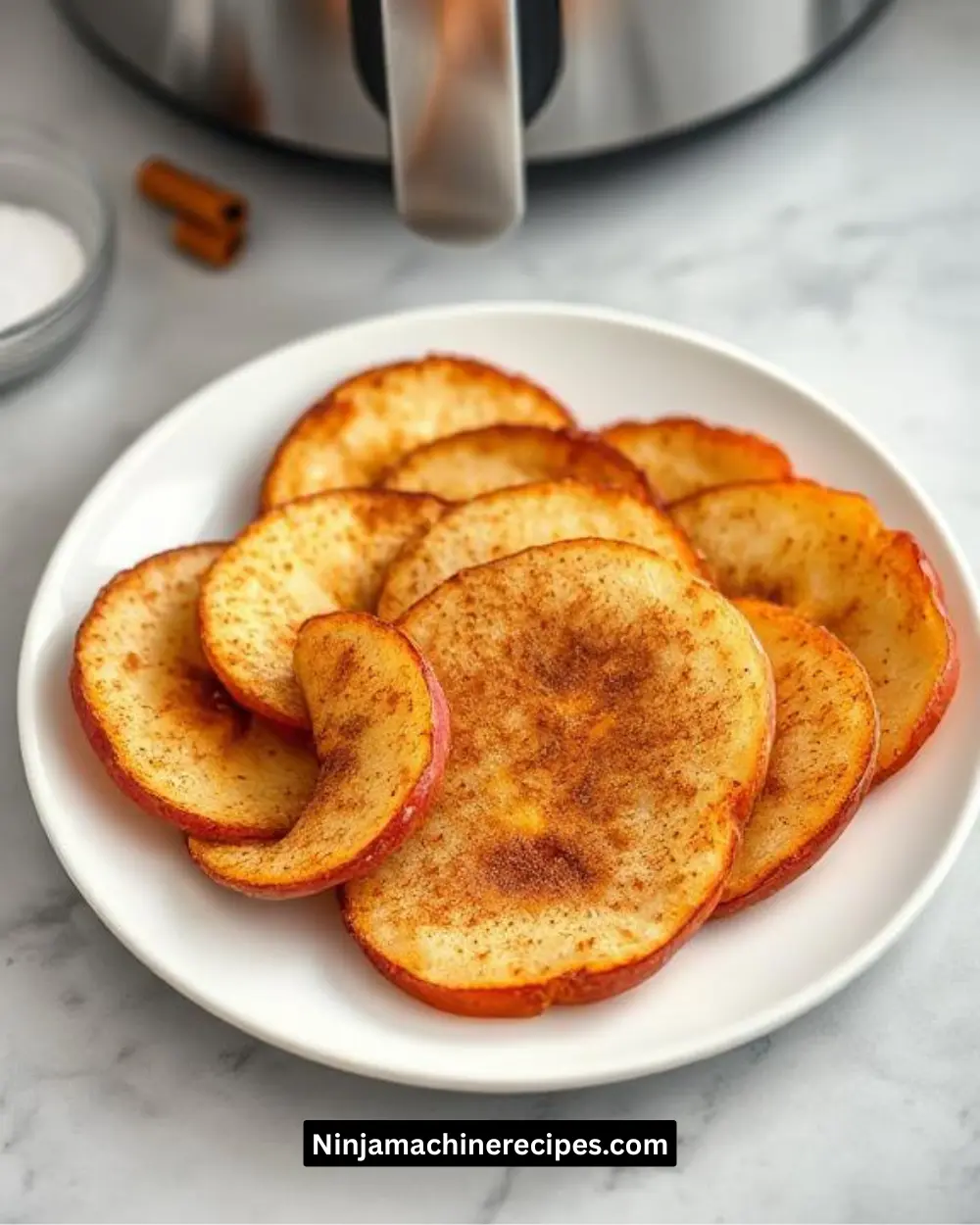 Ninja Air Fryer Apple Recipes