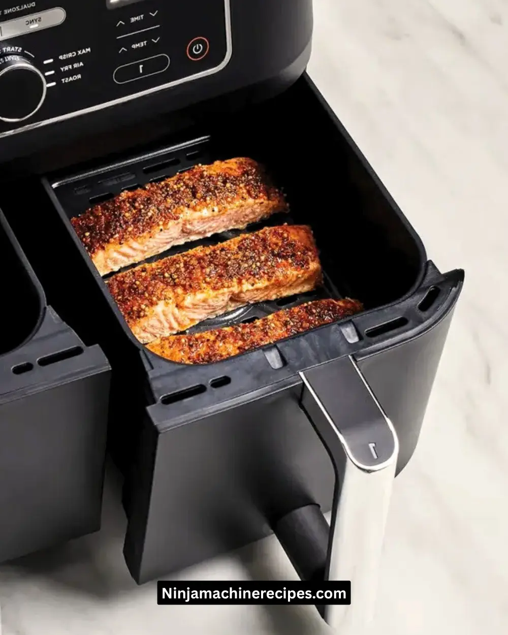 Ninja Air Fryer Recipes Salmon
