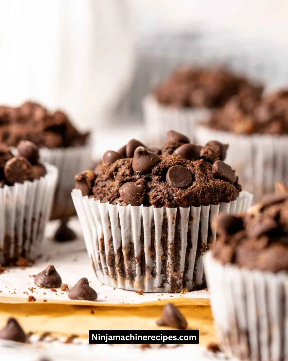 Double Chocolate Banana Muffins