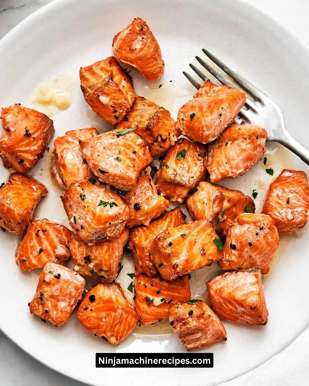 Ninja Air Fryer Salmon Bites