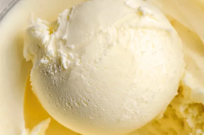 Ninja Ice Cream Maker Recipes