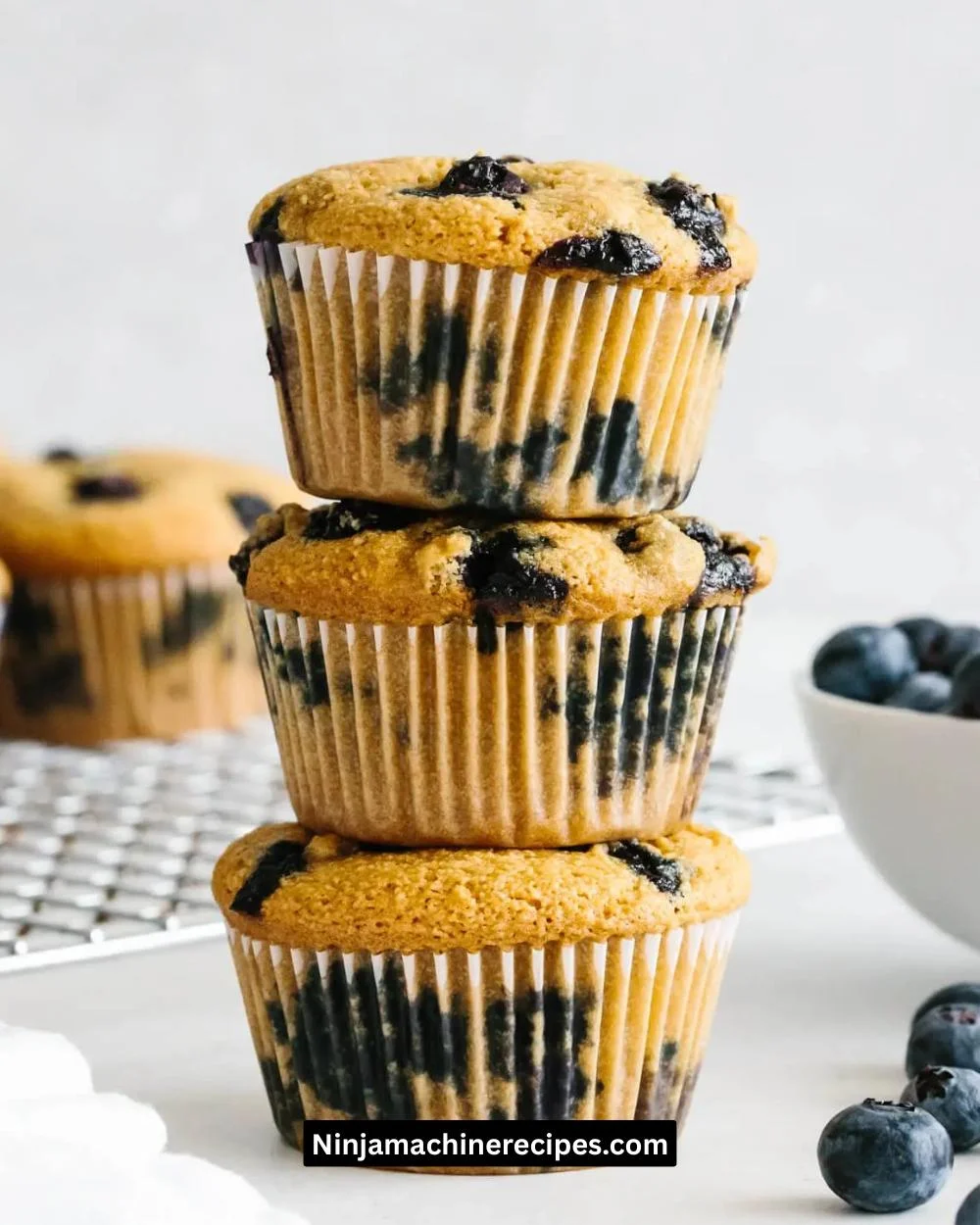 Paleo Blueberry Muffins