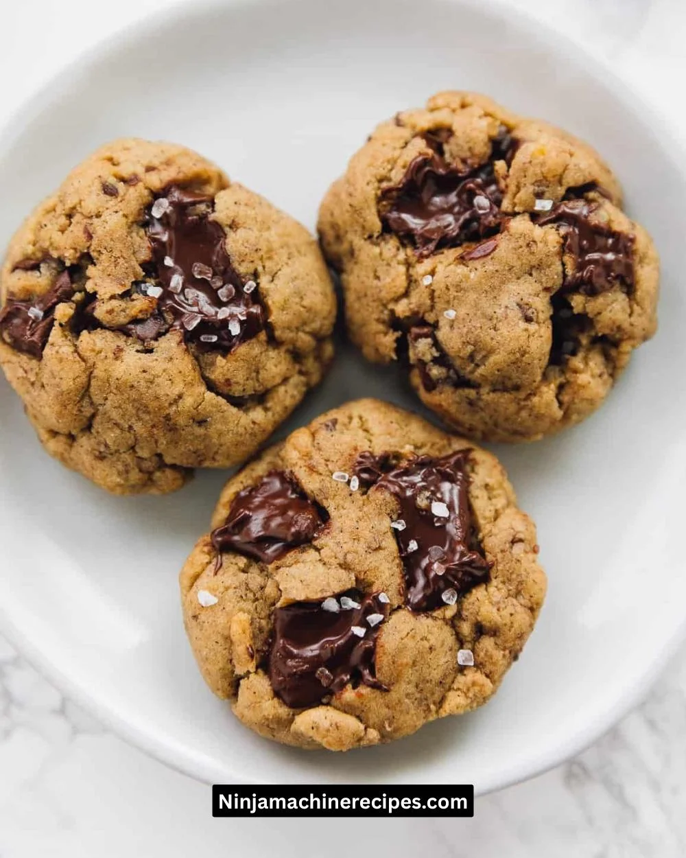 Salted Chocolate Chip Tahini Cookies