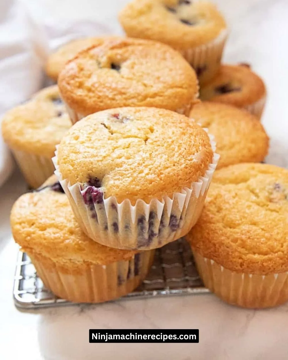 Cottage Cheese Muffins