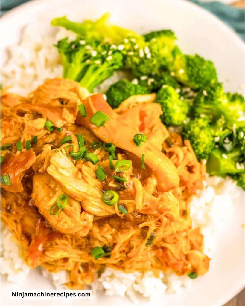 Crockpot Bourbon Chicken dish served with rice and vegetables