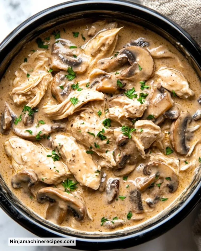Delicious Crockpot Chicken Stroganoff served with noodles and fresh parsley.