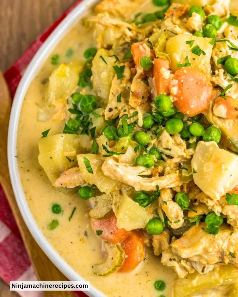 Bowl of delicious Crockpot turkey stew with vegetables and herbs