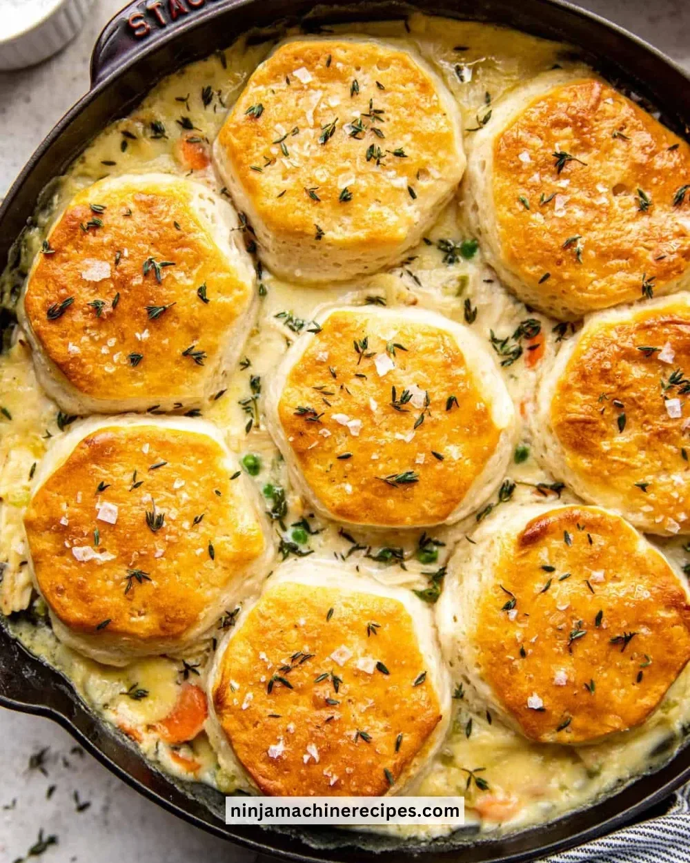 Delicious Chicken Pot Pie with Biscuit Topping served in a rustic dish
