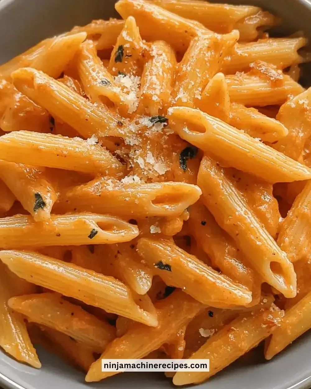 Creamy tomato penne pasta served in a stylish bowl