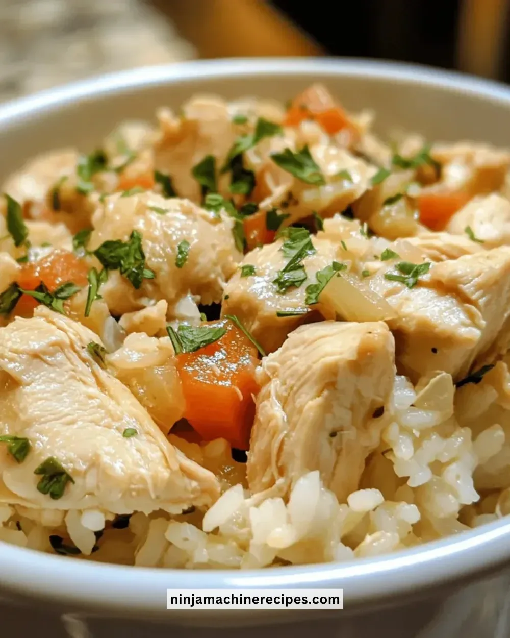 Delicious easy crockpot chicken and rice dish served in a bowl