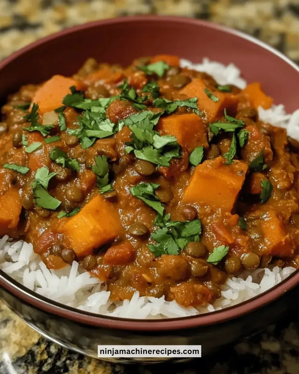Bowl of easy crockpot sweet potato and lentil curry with spices