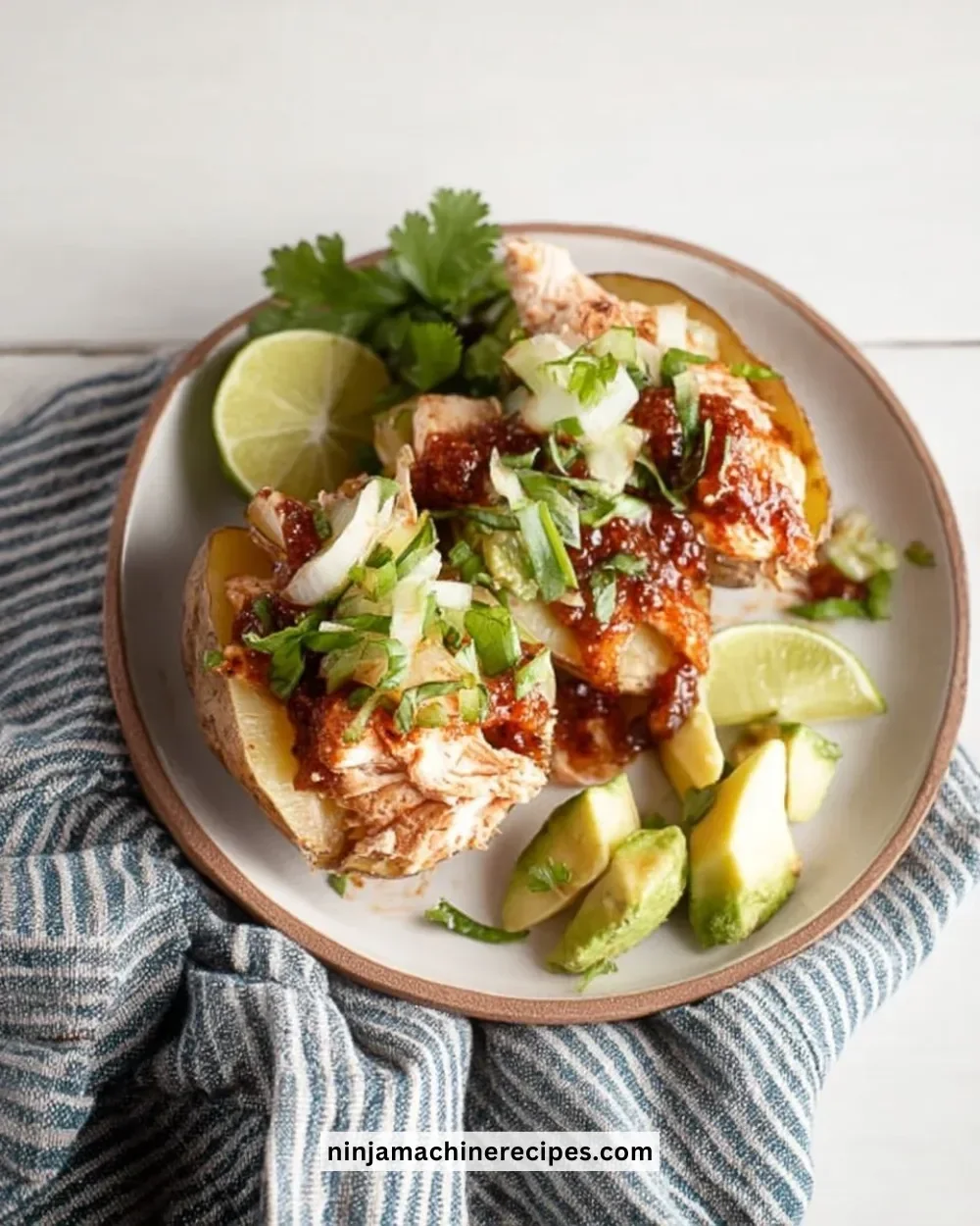 Easy Salsa Chicken Stuffed Potatoes ready to serve on a plate.