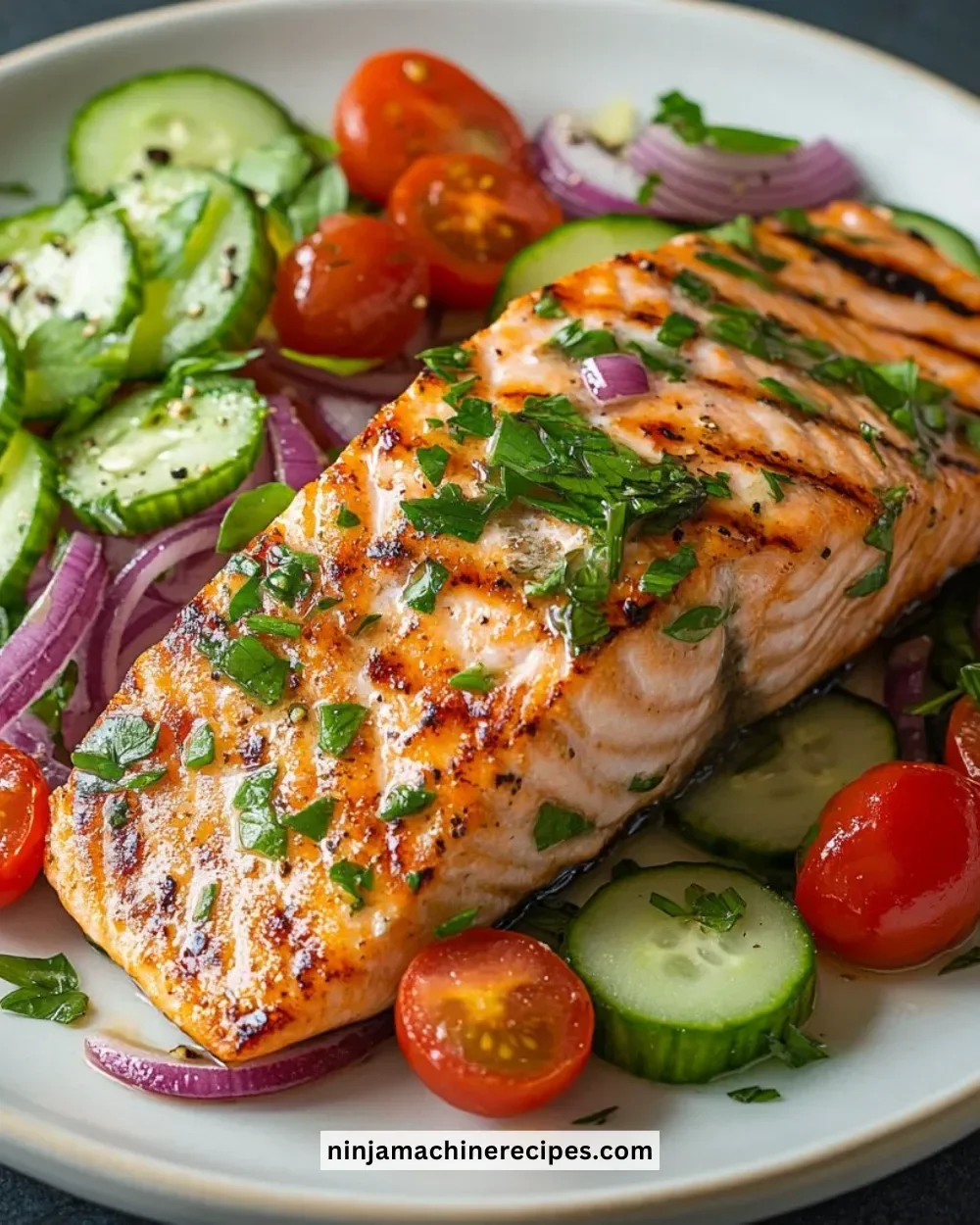 Grilled salmon served with fresh cucumber and tomato salad on a plate