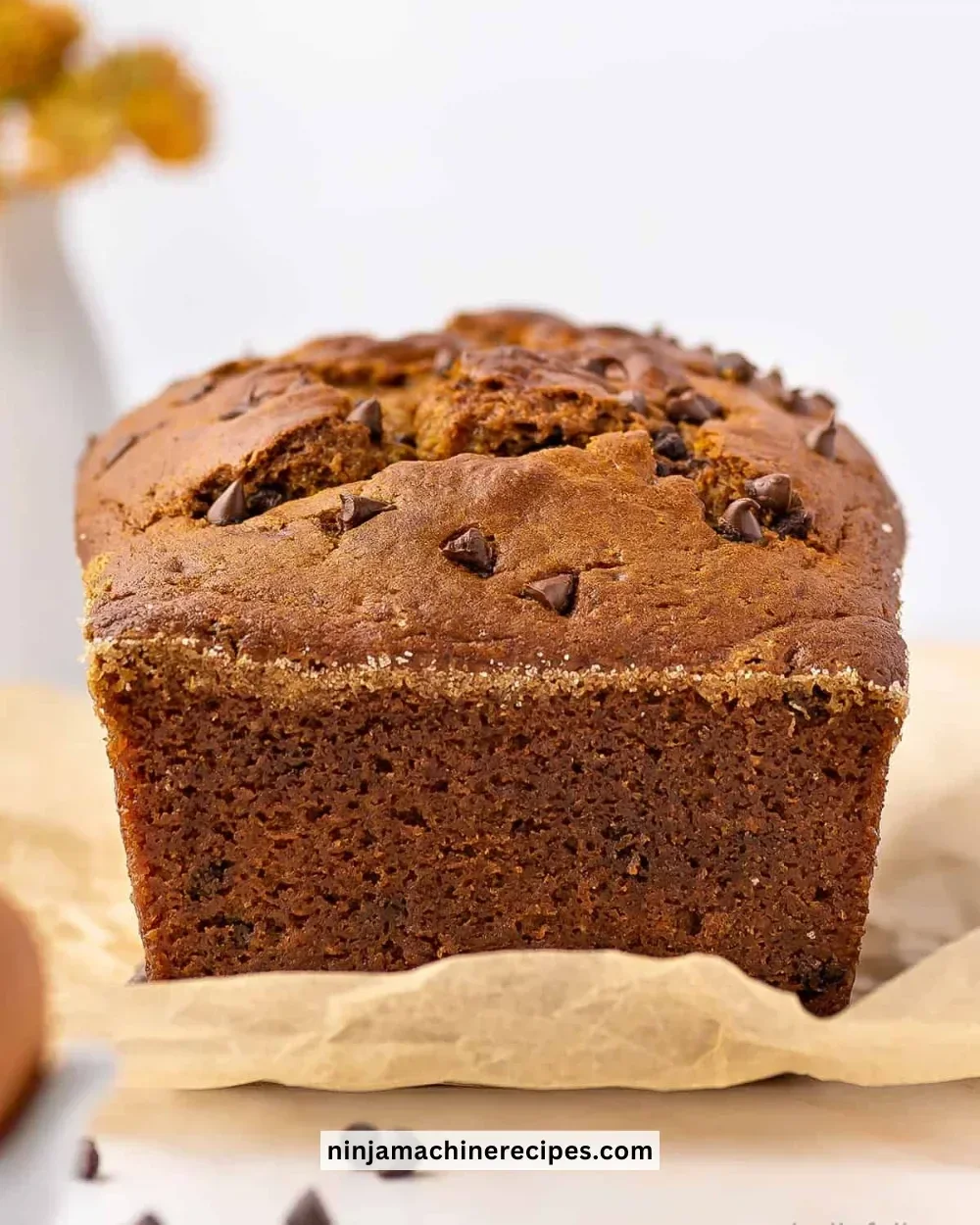 Moist pumpkin chocolate chip bread fresh out of the oven