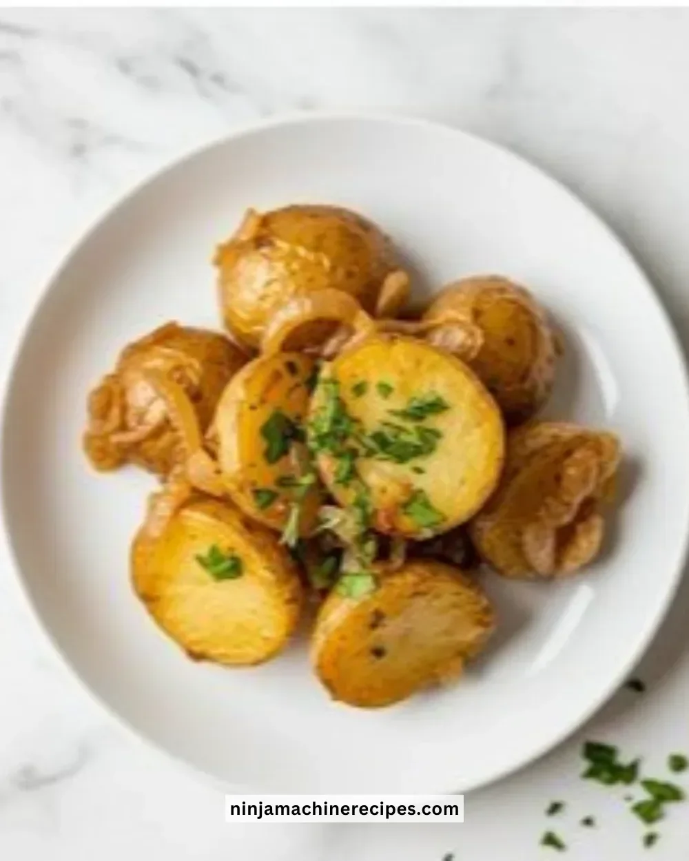 Delicious slow cooker Lipton onion potatoes recipe for easy meal prep