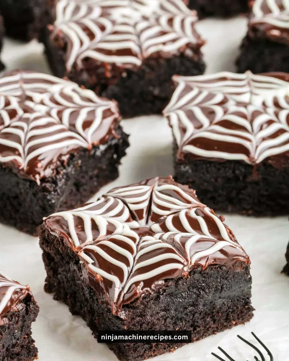 Delicious Spiderweb Brownies with chocolate and white icing decoration for Halloween