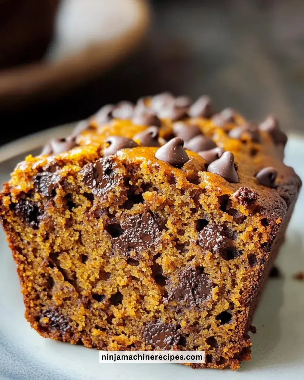 Banana Chocolate Chip Pumpkin Bread