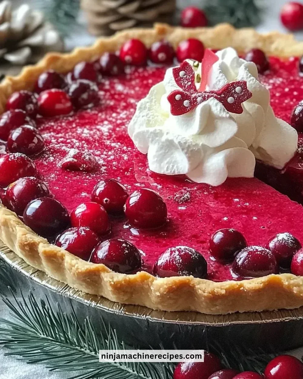 Delicious homemade cranberry custard pie garnished with fresh cranberries