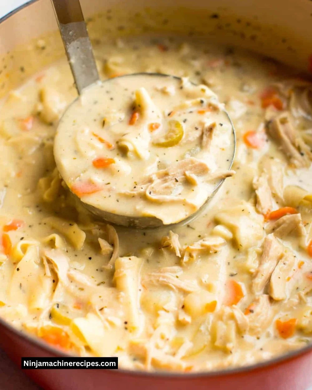 Bowl of creamy chicken noodle soup with vegetables and herbs