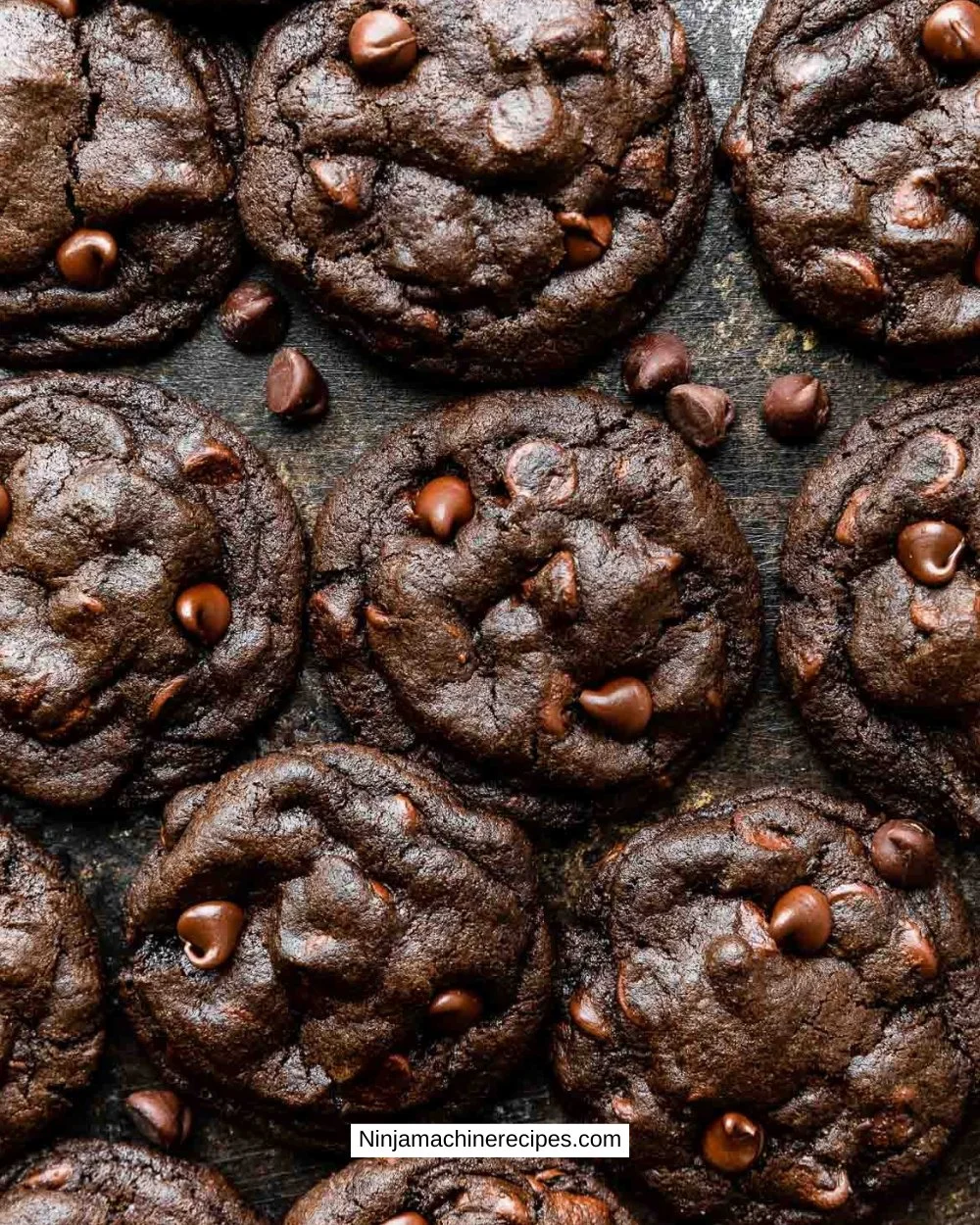 Double Chocolate Chip Cookies