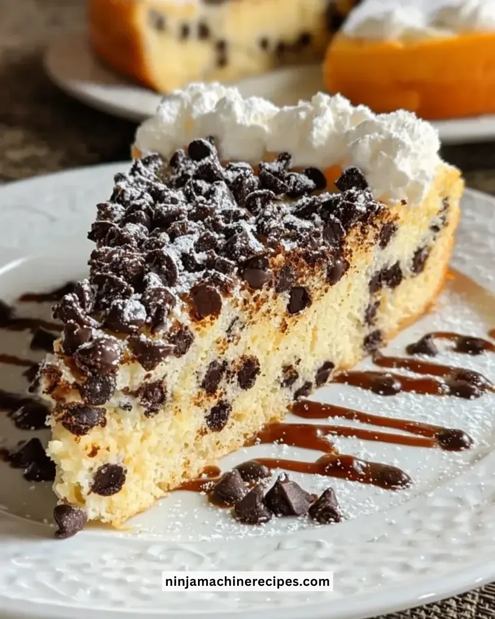 Slice of Italian Chocolate Chip Ricotta Cake showcasing chocolate chips and creamy texture.