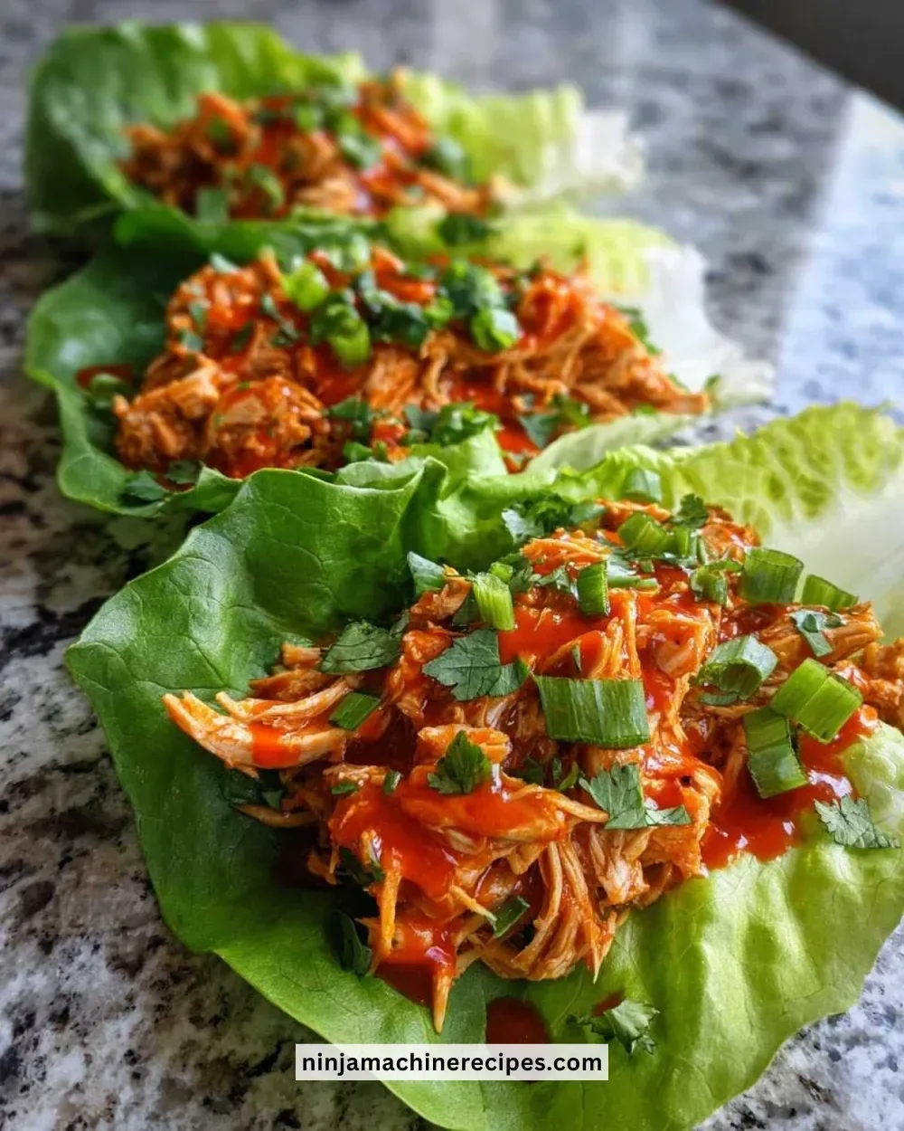 Buffalo chicken lettuce wraps garnished with fresh vegetables