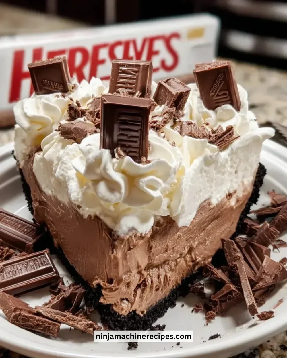 Homemade Burger King Copycat Hershey Pie dessert with chocolate toppings.