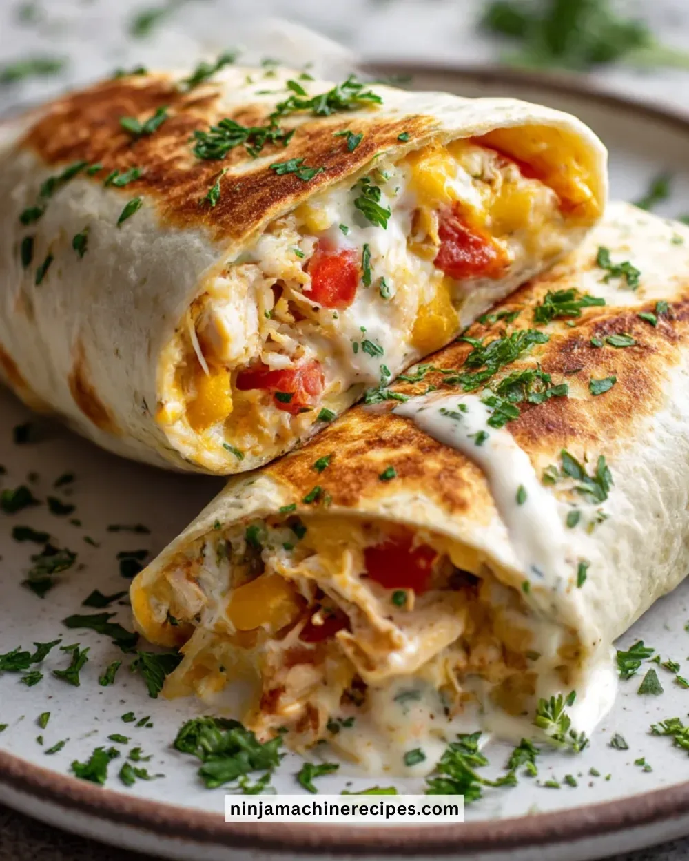 Chicken Bell Pepper Ranch Burritos with colorful ingredients on a plate.