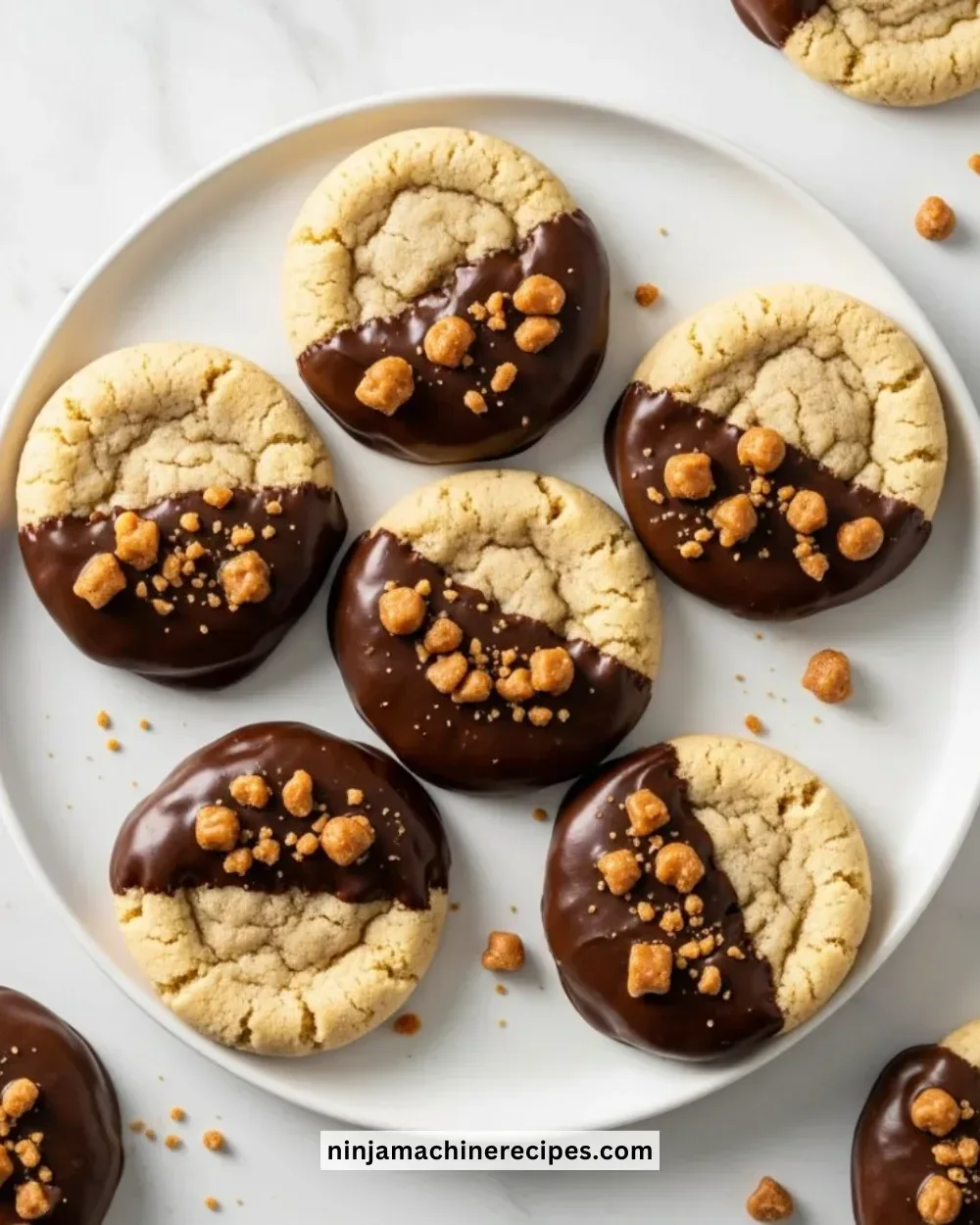 Plate of chocolate dipped toffee cookies, drizzled with chocolate and sprinkled with nuts.