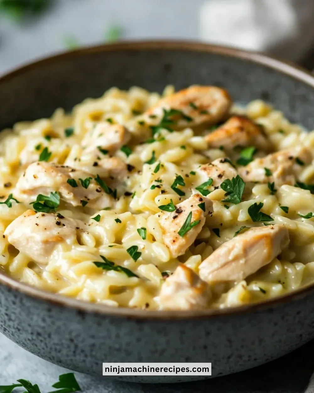 Creamy orzo with chicken dish served in a bowl