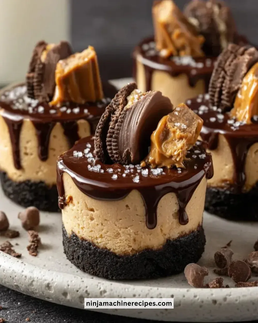 Peanut Butter Oreo Cheesecake Bites