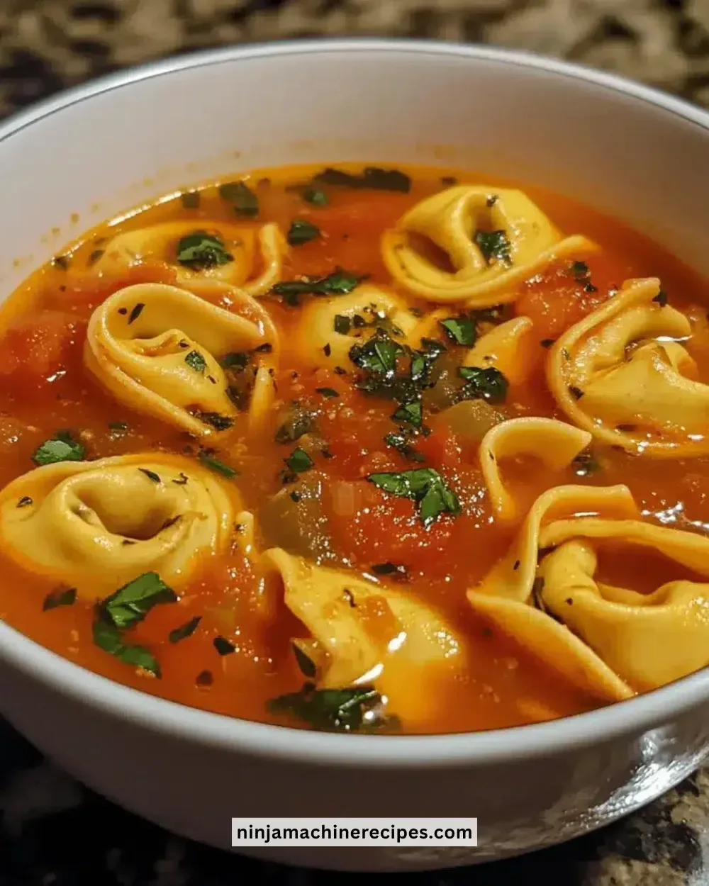 Bowl of easy Tomato Basil Tortellini Soup with fresh basil and tortellini
