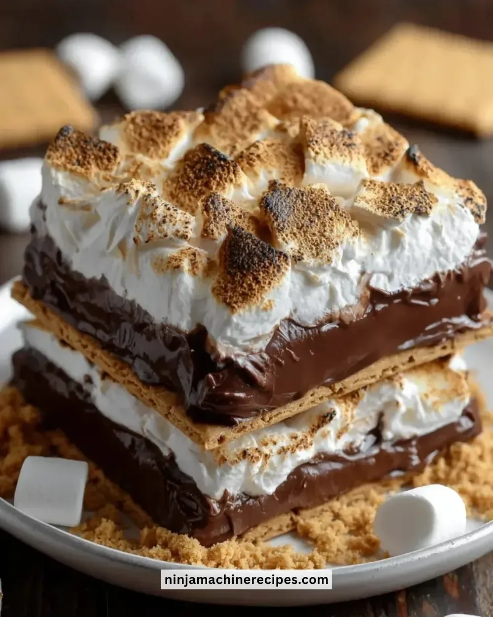 Delicious frozen s'mores dessert with chocolate and marshmallows