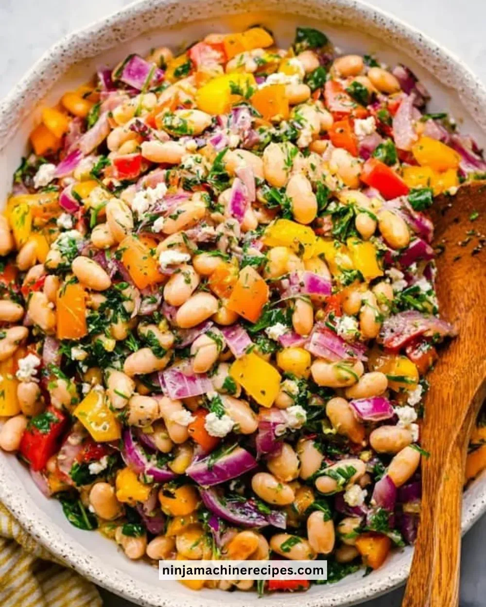 High protein dense bean salad with mixed legumes and fresh herbs.