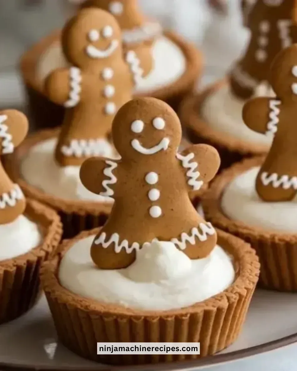 No-Bake Gingerbread Cheesecake Cups topped with gingerbread crumbs and spices