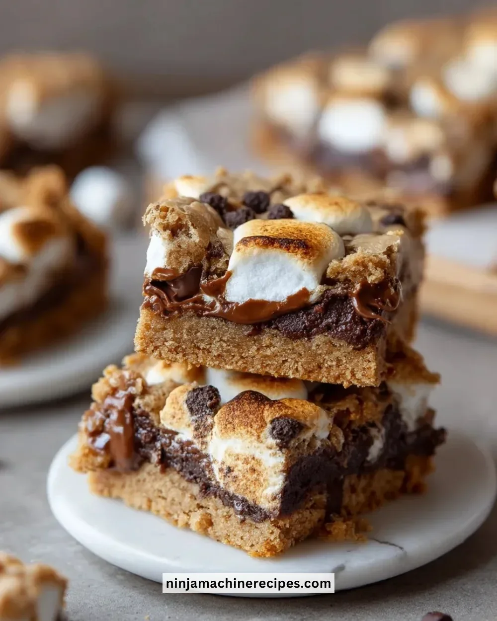 Delicious S’mores Cookie Bars topped with melted chocolate and marshmallows