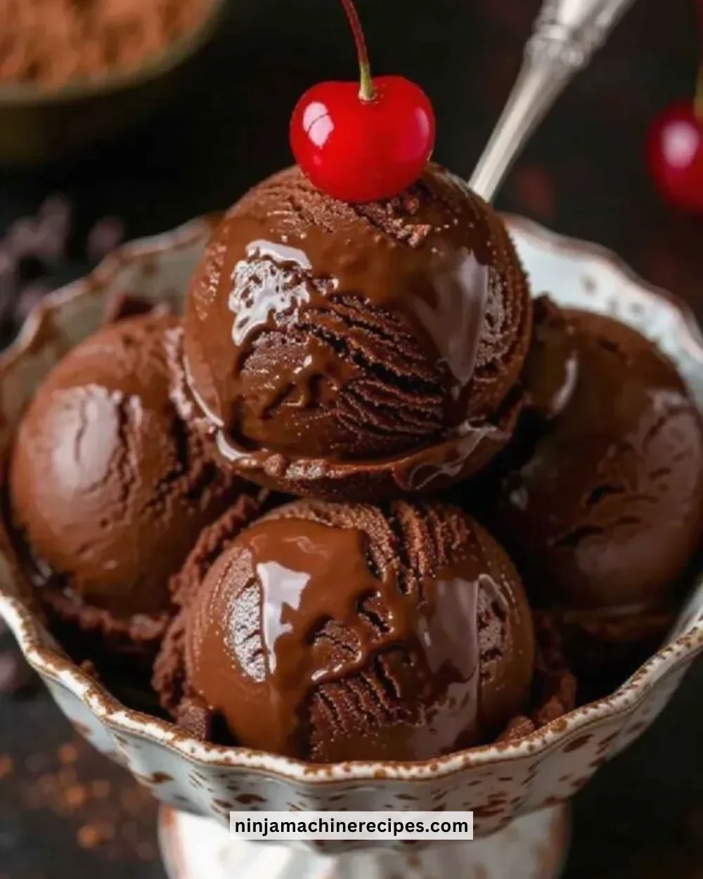 Delicious bowl of chocolate fudge ice cream topped with chocolate sauce