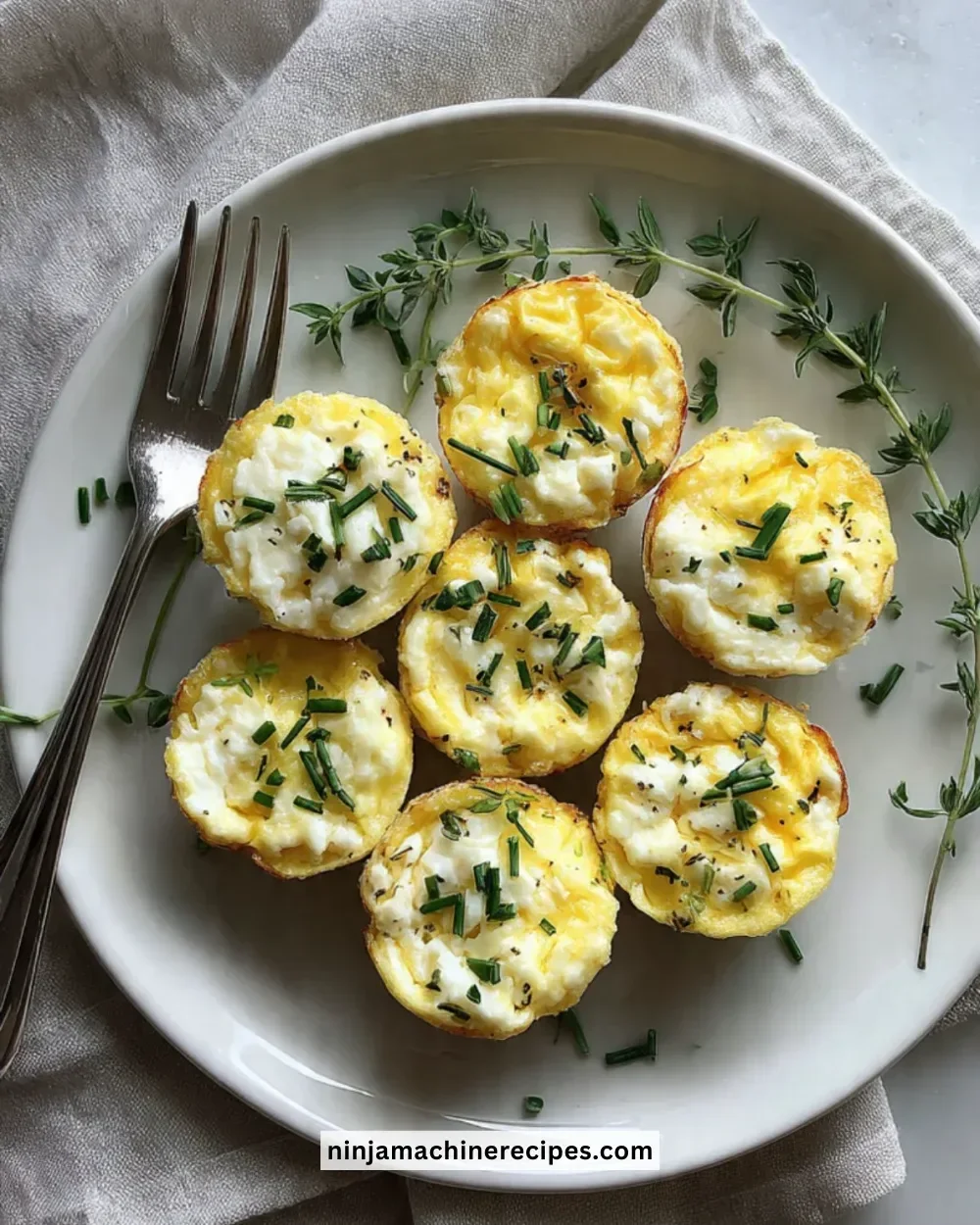 Delicious cottage cheese egg bites served on a plate for a nutritious meal.