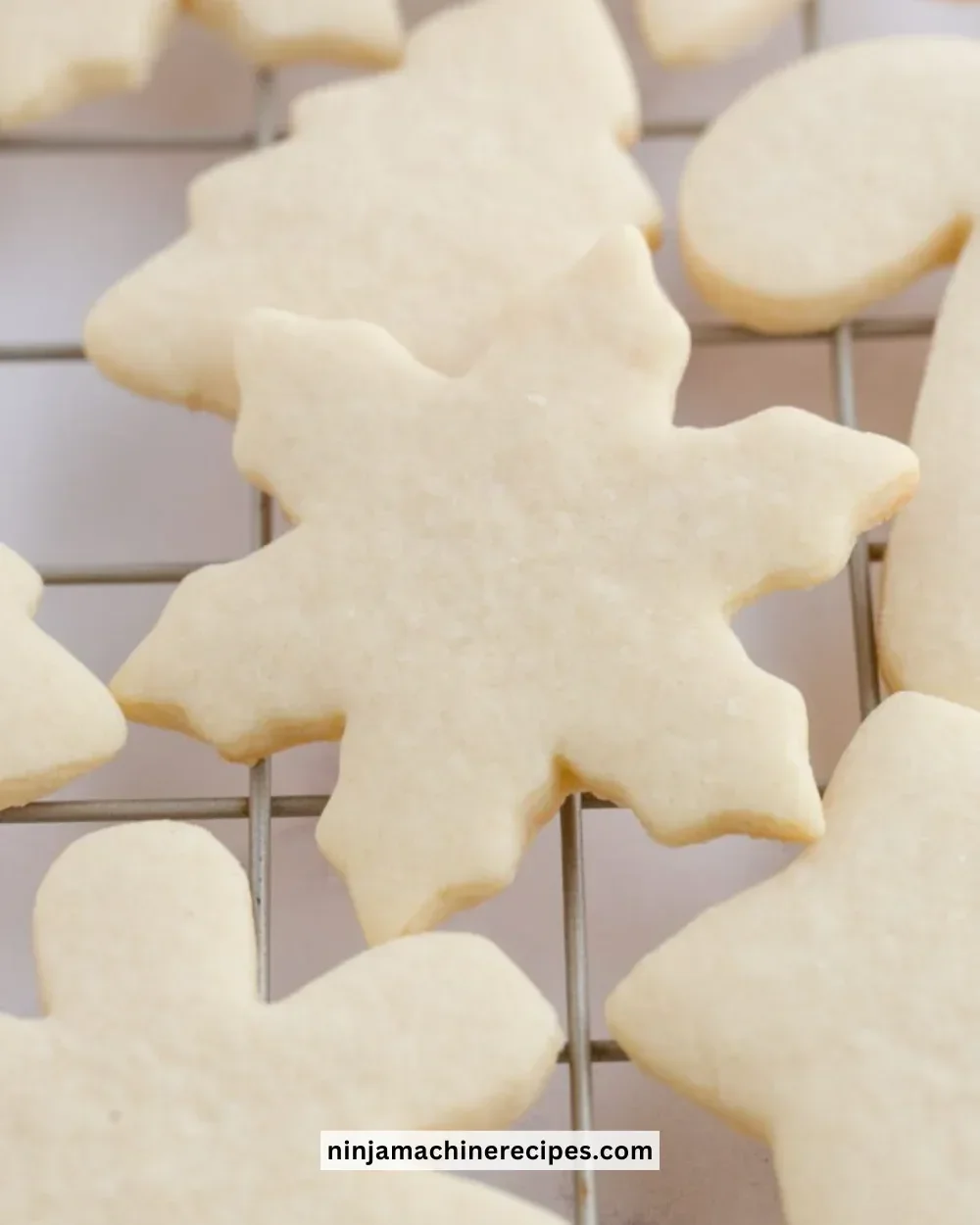 Decorated cut out sugar cookies in festive shapes and colors
