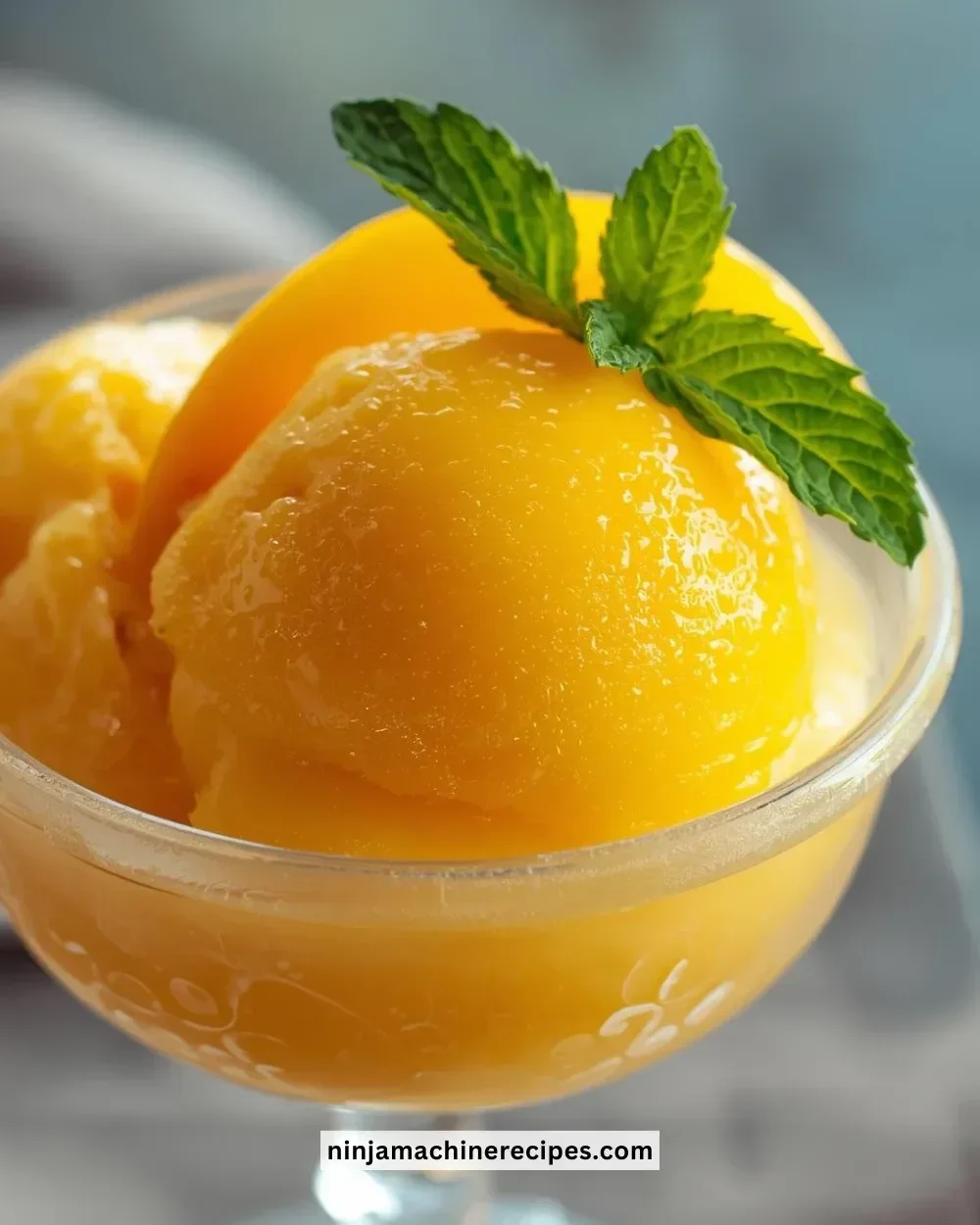Bowl of dairy-free mango sorbet garnished with fresh mango slices