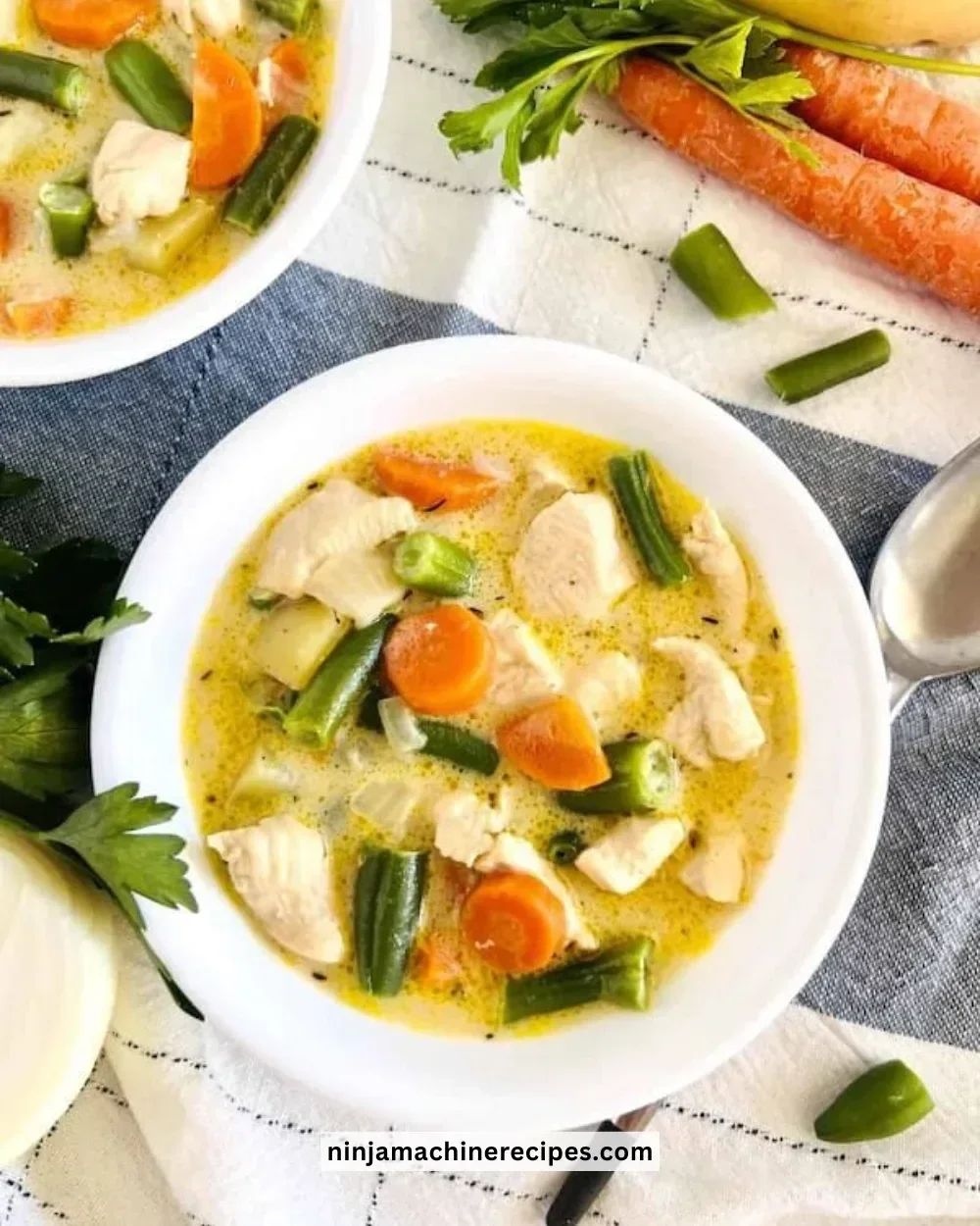 Delicious Dutch Oven Chicken Stew with vibrant vegetables and herbs