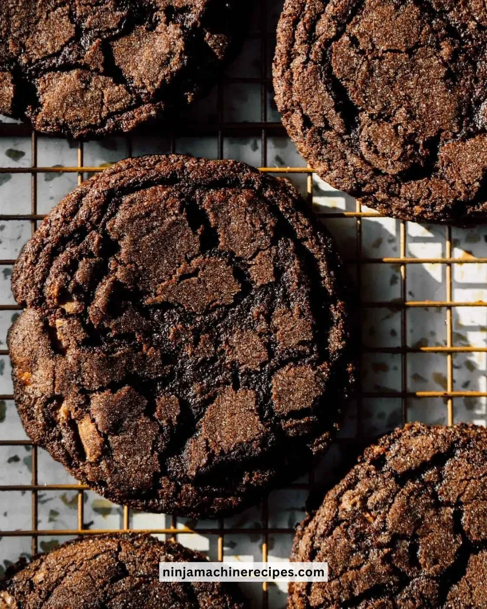 Easy sugar free chocolate cookies ready to enjoy on a plate