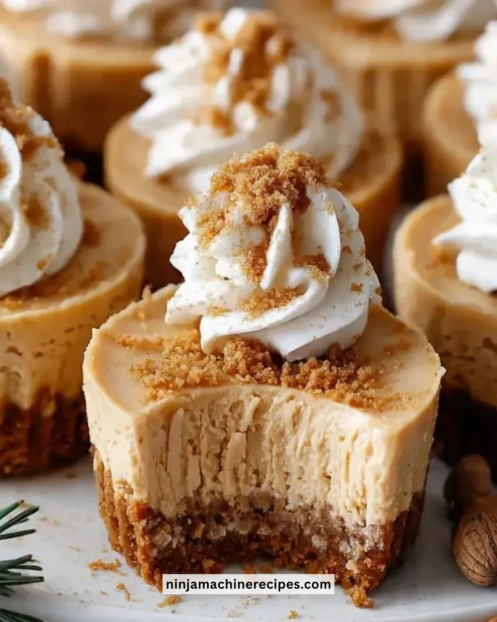 Gingerbread cheesecake cups served on a festive plate.