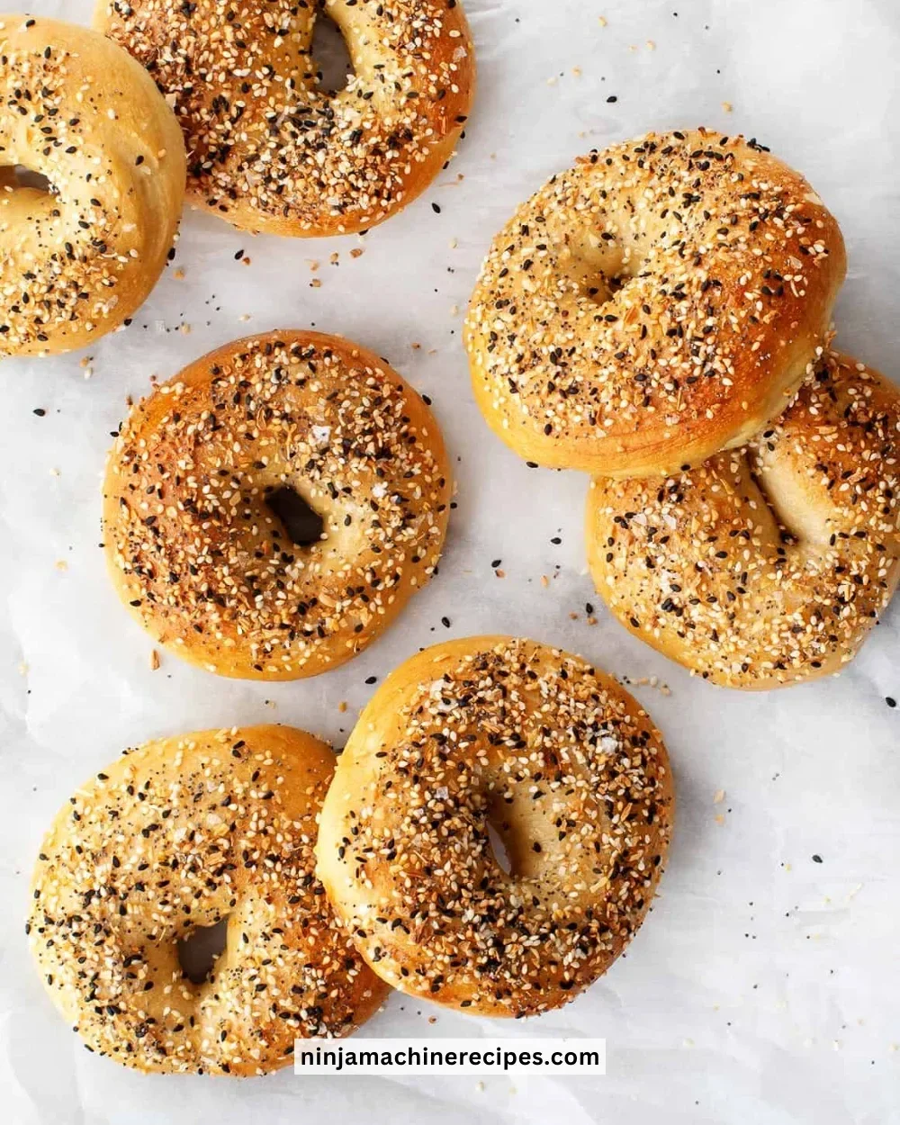 Homemade bagels freshly baked on a cooling rack