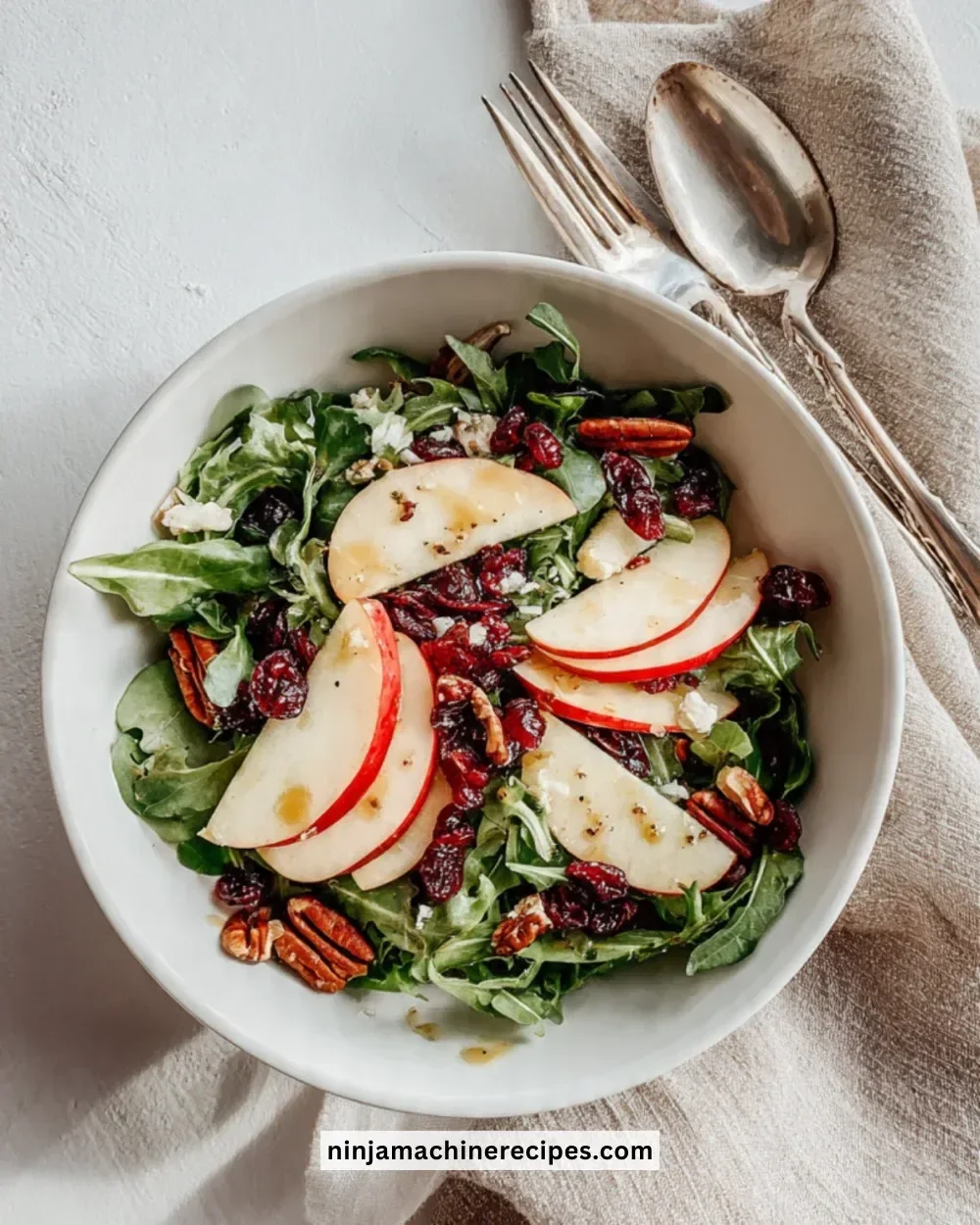 Delicious Honeycrisp Apple Salad with pecans and cranberries