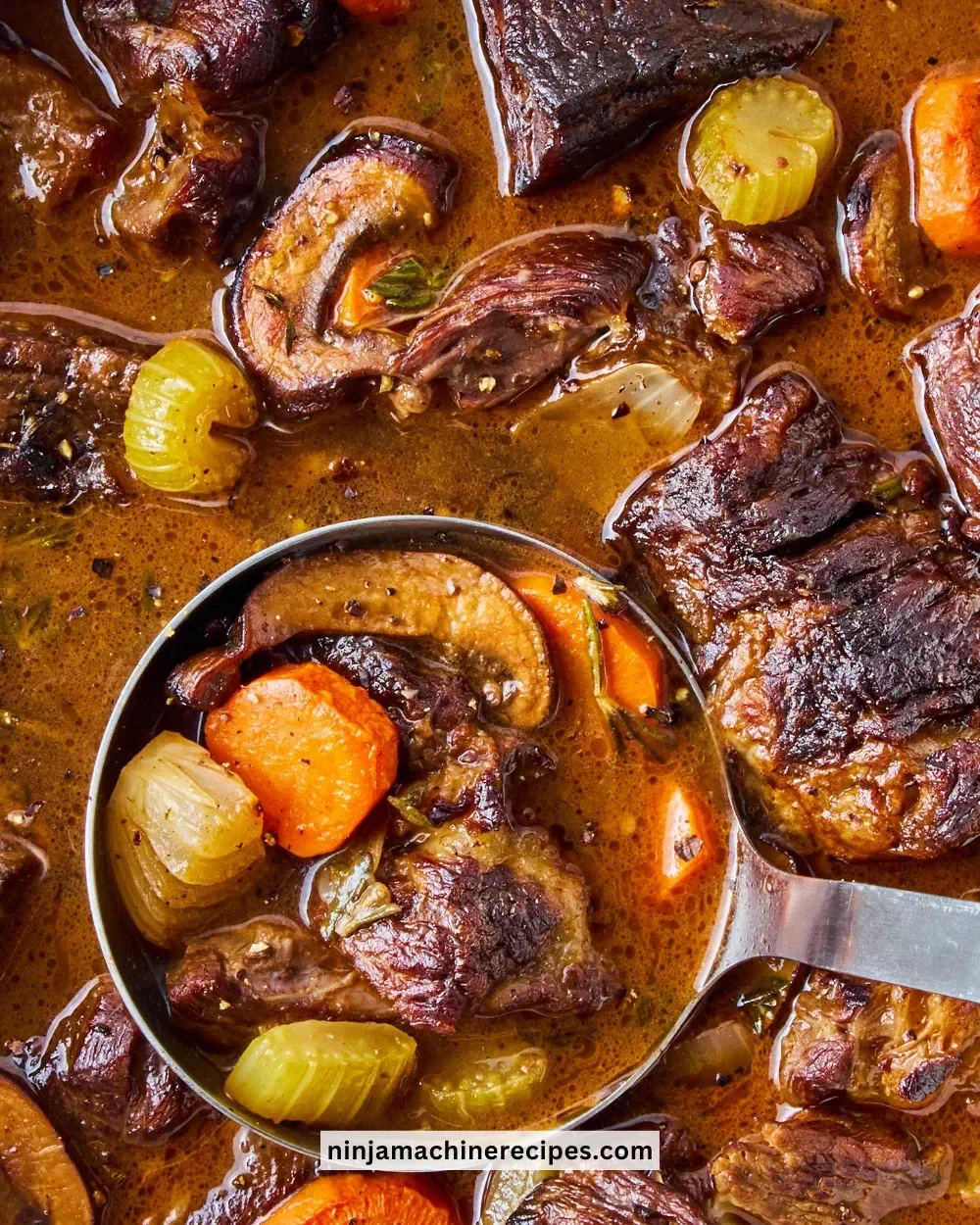 A bowl of Keto Beef Stew with vegetables and herbs, showcasing low-carb comfort food.