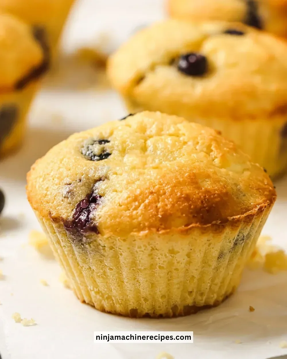Healthy protein muffins ready to be served as a nutritious snack.