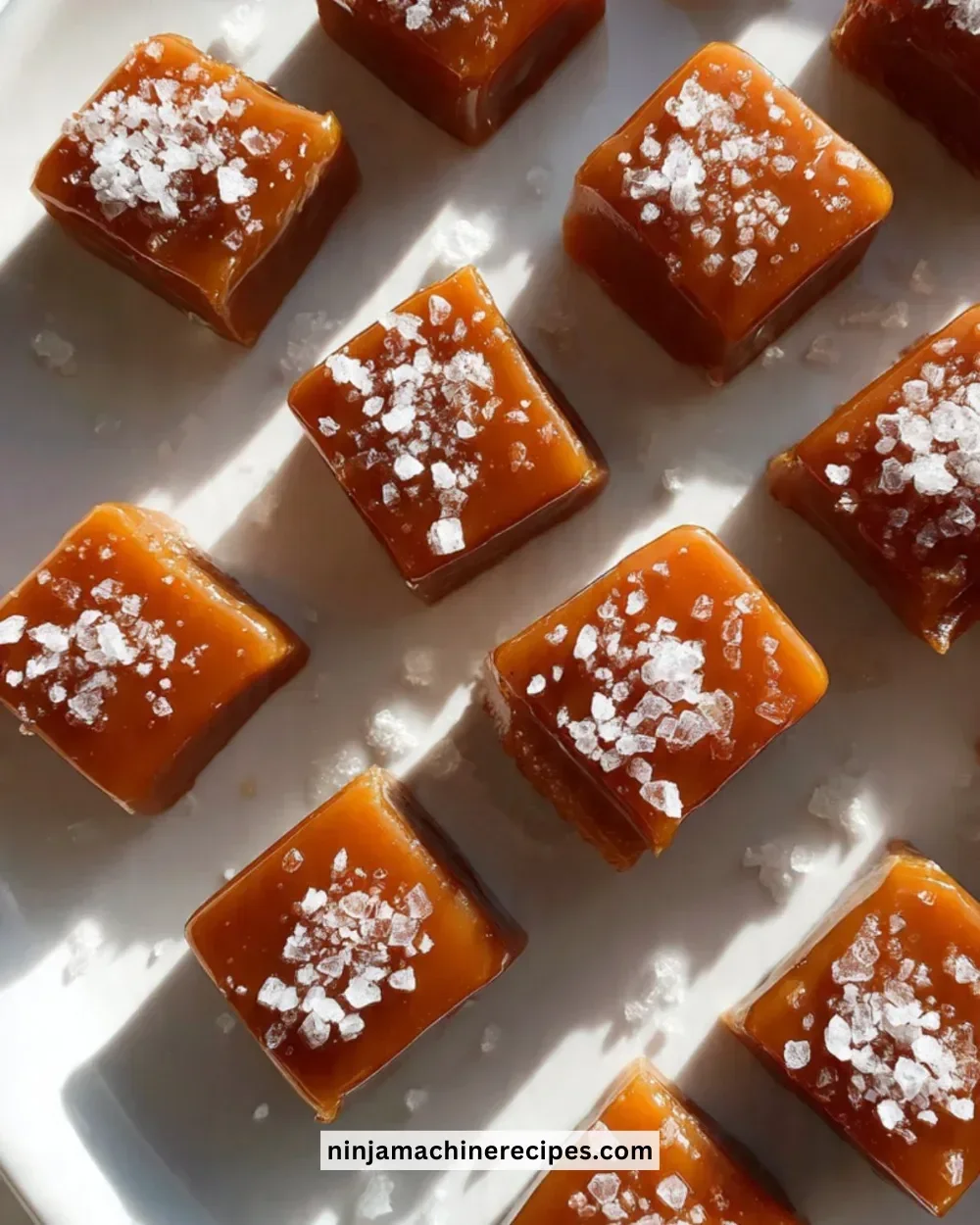Delicious salted caramel bites displayed on a plate with chocolate drizzle.
