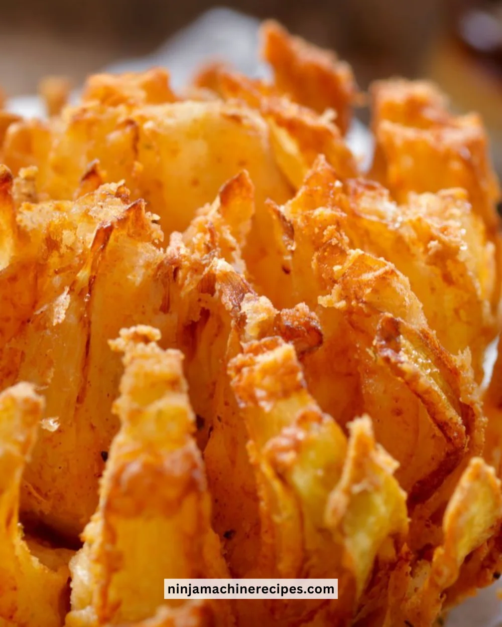 Air fryer copycat Bloomin Onion from Outback Steakhouse served on a plate