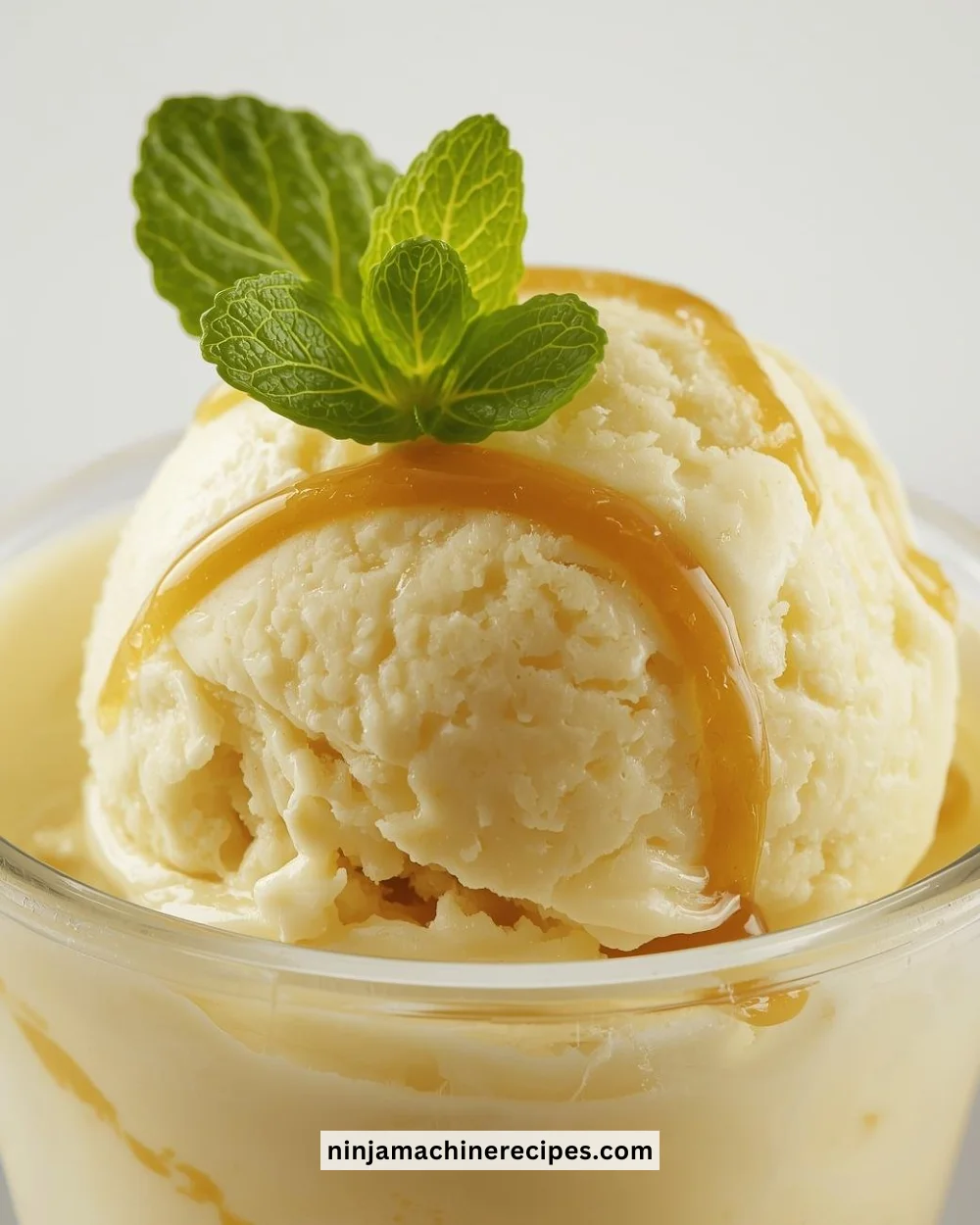 Delicious homemade banana ice cream served in a bowl with banana slices.